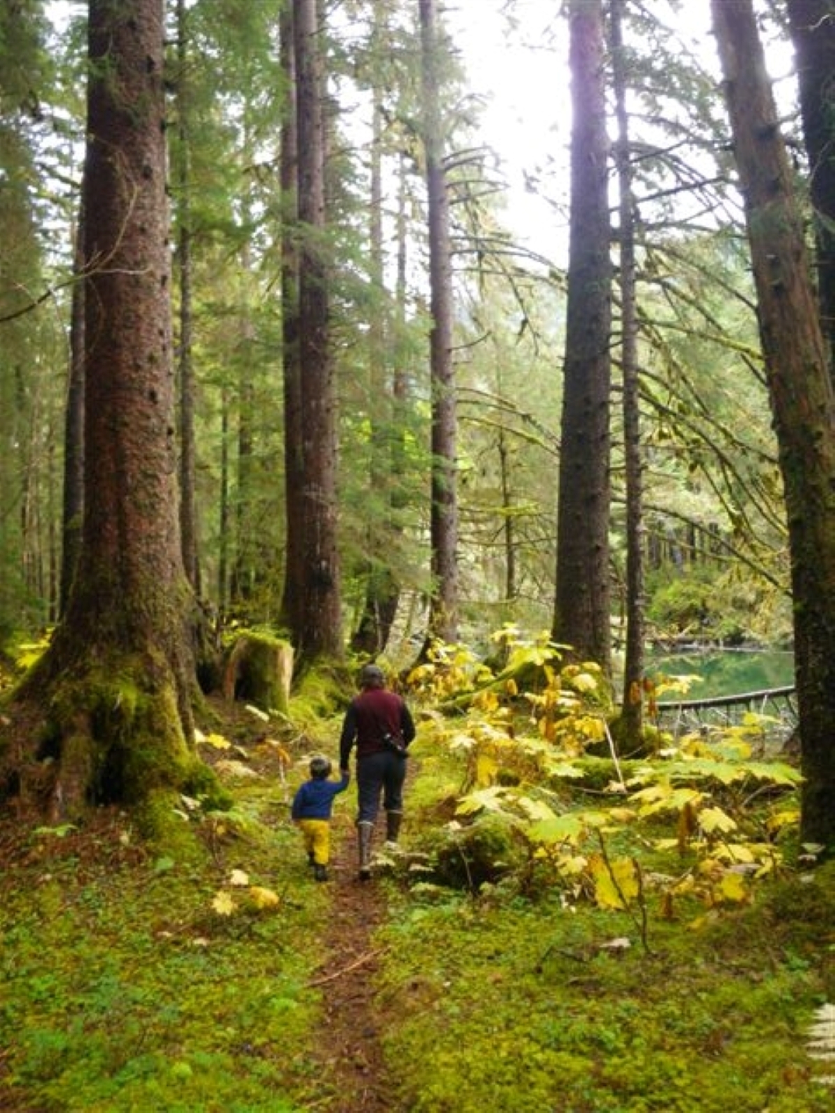 An adult and child walks through the old-growth forest near Redoubt Lake in Sitka (USDA/Kelly)