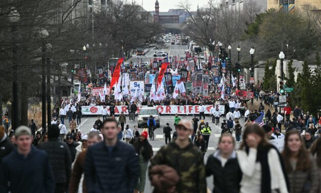 Despite state bans and restrictions, the number of abortions in the U.S. holds steady