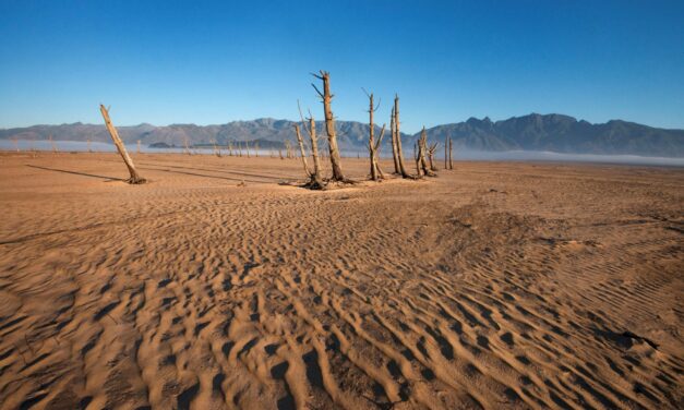 Here’s some new dirt on a source of antibiotic resistance