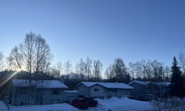 Property tax appeals skyrocketed this year in Anchorage