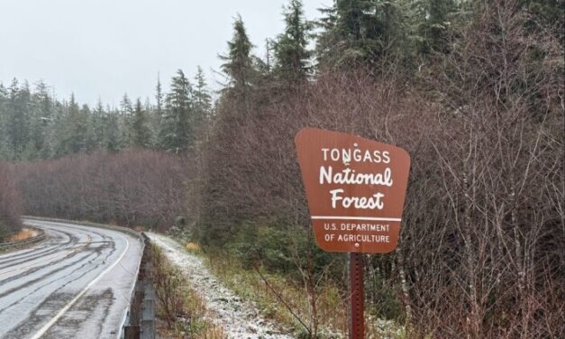 Forest Service plans to hold virtual meeting on Tongass Forest Plan revision Wednesday