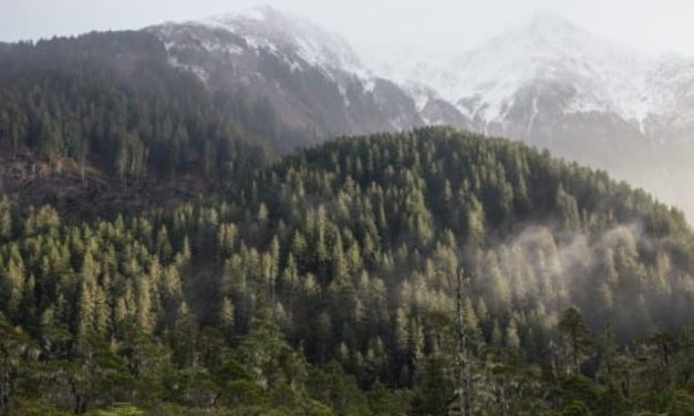 Sitka Conservation Society gives heads up to public about Forest Service community meeting