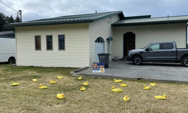 ‘You’ve been ducked!’: Sitka Rotary Club’s annual fundraiser aims to donate $60k to local organizations