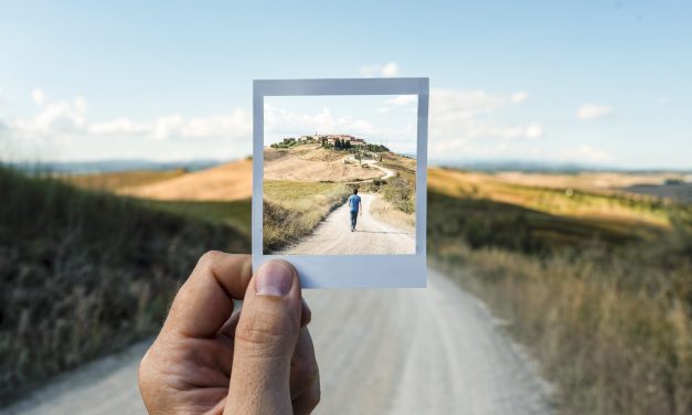 In the brain, objects seen and imagined follow the same neural path