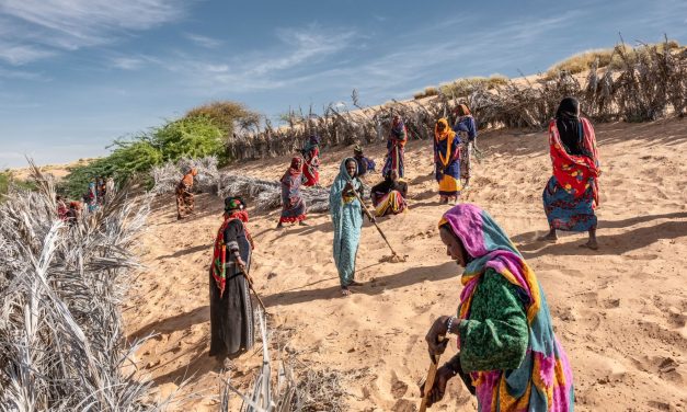 The Great Green Wall’s one of the world’s most ambitious eco-projects. Is it working?