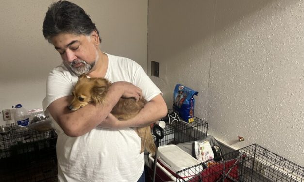 2 Anchorage homeless shelters now welcome pets. Advocates say that’s better for everyone.