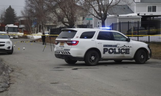 Anchorage suspect and police dog both injured in Midtown shootout