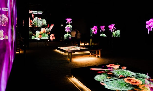 Israel and Lebanon extend ceasefire. And, Trump eases medical marijuana rules