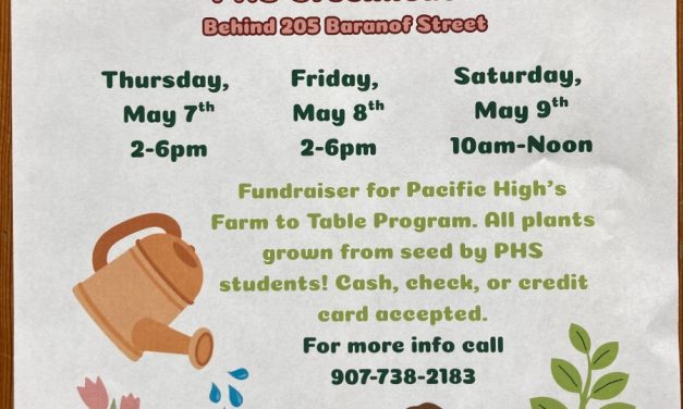 Pac High students ready lemon cucumber, goodeberry, dahlia starts and more for upcoming garden sale
