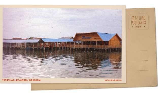 Greetings from a sea village in Indonesia, where Indigenous fishing gets help from mangroves