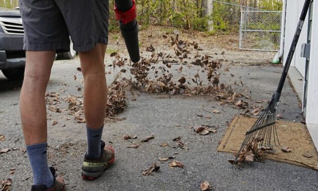 Mat-Su Assembly doubles down on leaf blowers in response to Anchorage rule