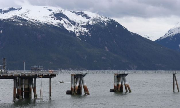 Cruise traffic in Haines could skyrocket under potential deal with major cruise port operator