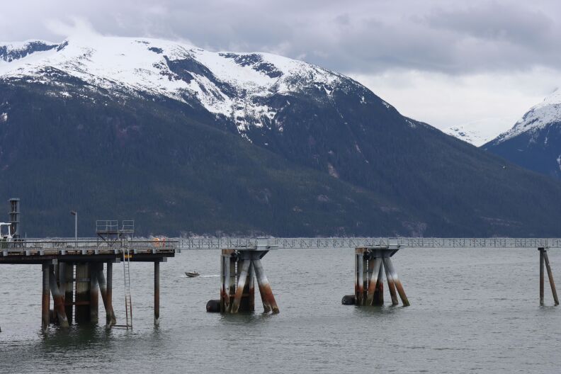 Cruise traffic in Haines could skyrocket under potential deal with major cruise port operator