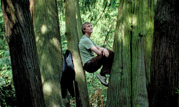 Rooted in nature, ‘Silent Friend’ will change the way you see the trees