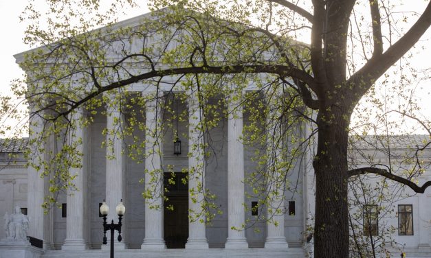 Meet the law students working to bring workplace protections to federal courts