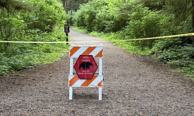 Trails temporarily shut down in Sitka National Historical Park