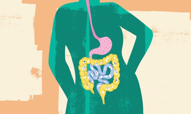 8 things to know about the gut microbiome and keeping yours healthy