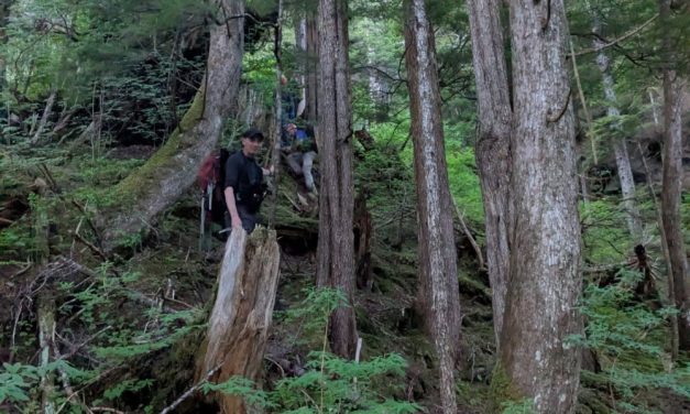 Sitka Fire Department rescues lost hiker on Mount Verstovia