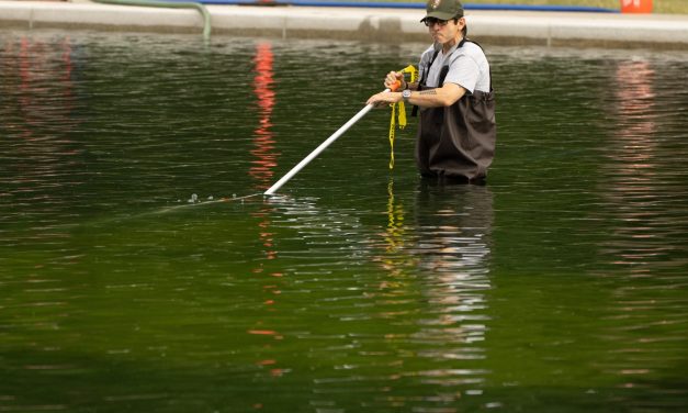 Opinion: Algae doesn’t care about our party lines