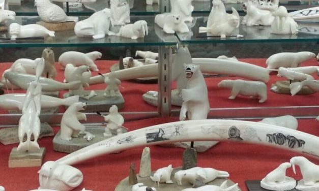 Bill protecting Alaska Native ivory sales heads to president