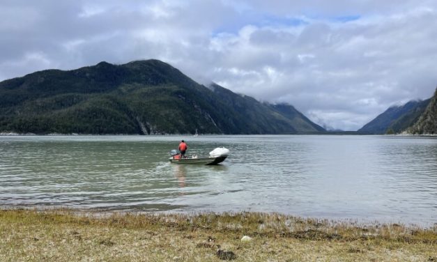 High PSP toxin levels mean it’s ‘not a good time’ to harvest shellfish in parts of Southeast Alaska