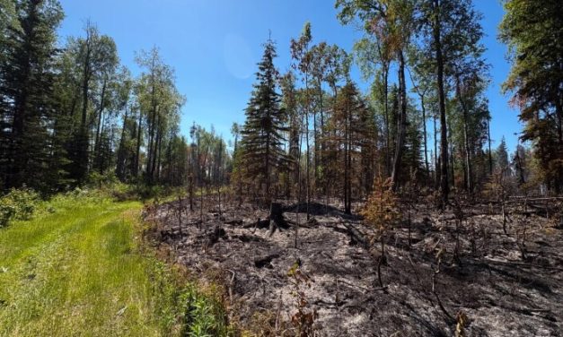 State reports Sterling wildfire is 90% contained