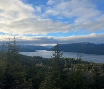Walk Gently on this Land to premier July 5th in Wrangell