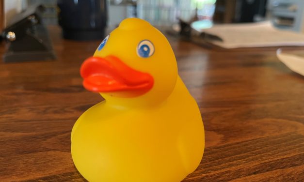 Rotary ducks to race down Granite Creek this weekend