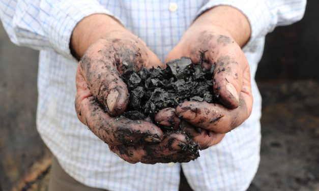 Utah forester hopes carbon-capturing soil supplement catches on in Sitka