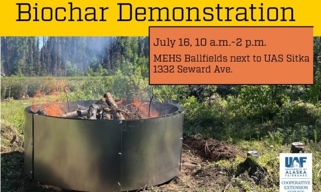 Learn about biochar production at outdoor workshop