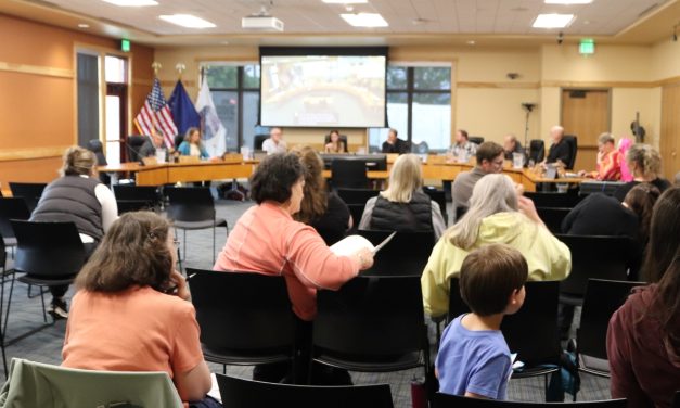 Assembly proposes sales tax changes to address Sitka’s childcare needs