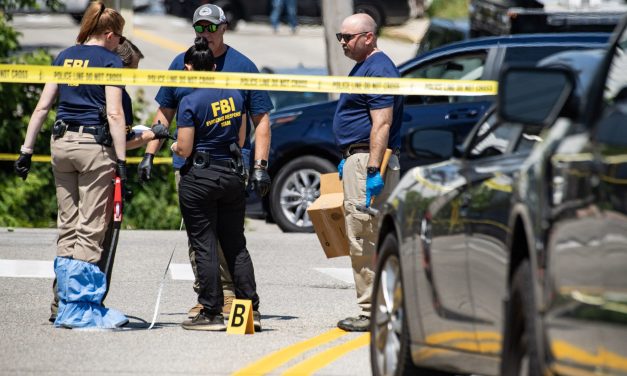 In the aftermath of deadly shootings, ICE pauses most traffic stops