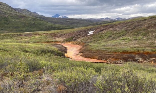 A new model could help predict rusting rivers in Alaska, researchers say