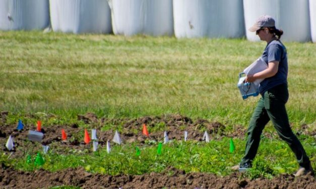 There’s more than meets the eye at Matanuska Experiment Farm