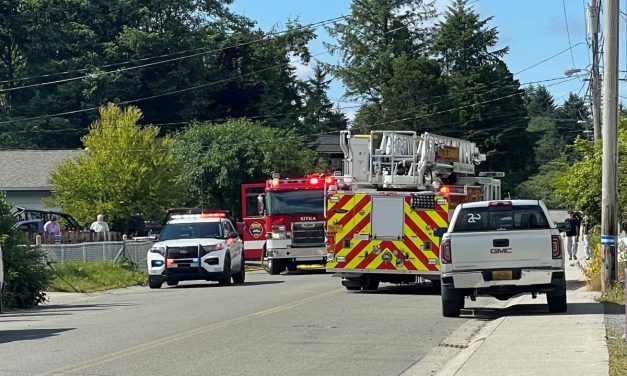 Sitka Fire Department extinguishes woodland and house fires