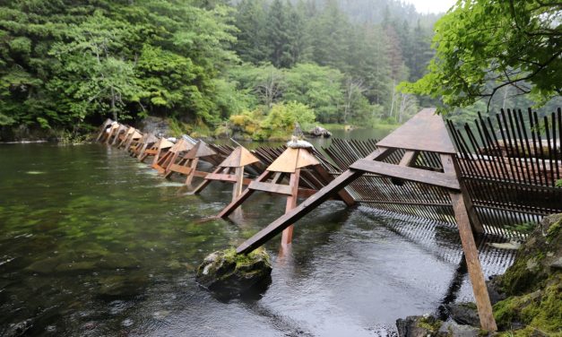 ‘There’s no funding for the weir right now’: Sitka Tribe of Alaska introduces AI monitoring at Redoubt