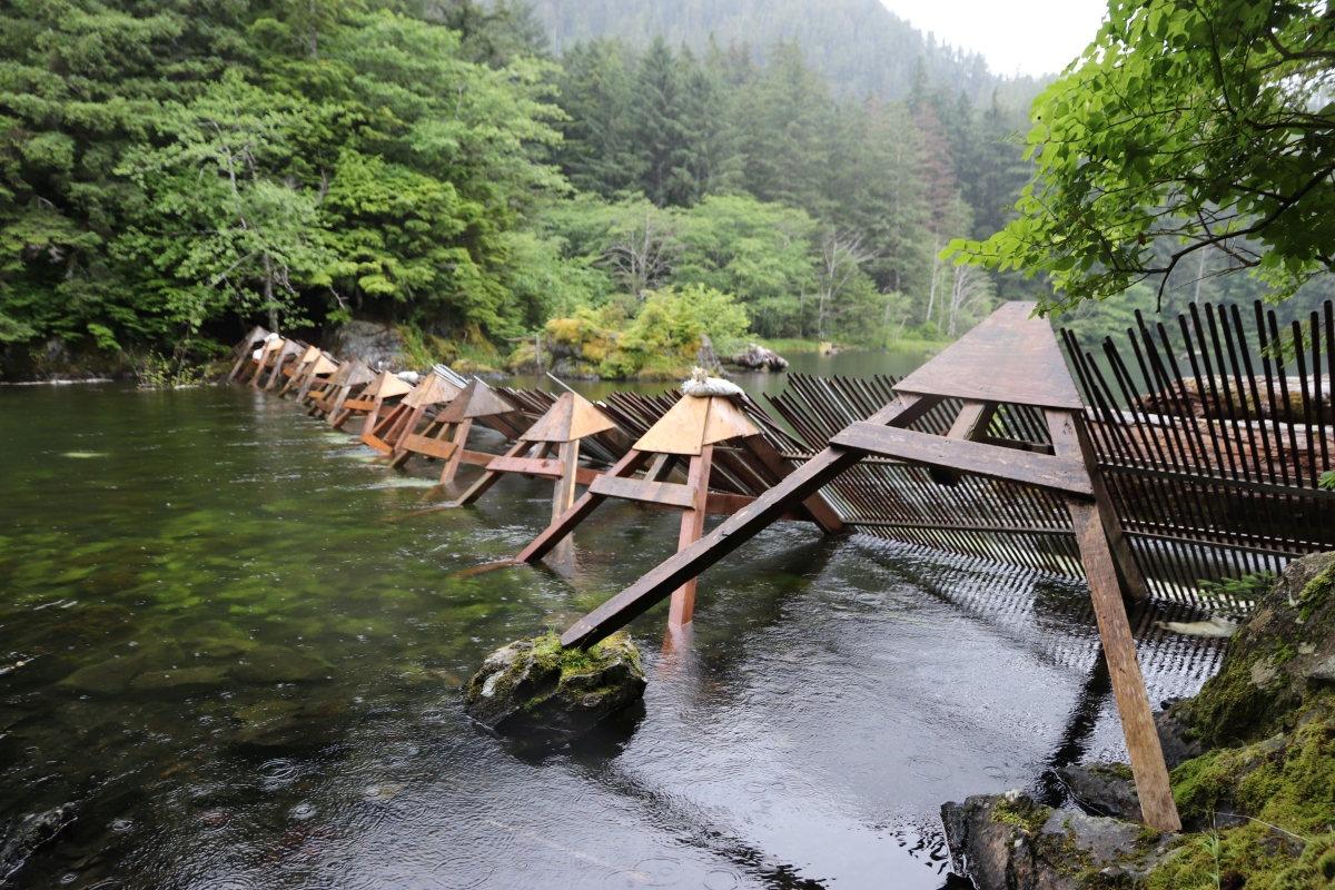 ‘There’s no funding for the weir right now’: Sitka Tribe of Alaska introduces AI monitoring at Redoubt