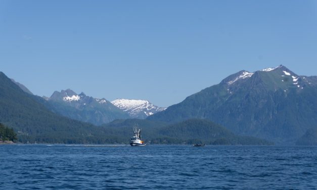 Seiners break Sitka’s single-day pink salmon harvest record twice in one month