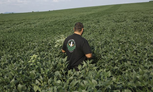 The Iran war and tariffs are costing farmers. Will Republicans pay in November?