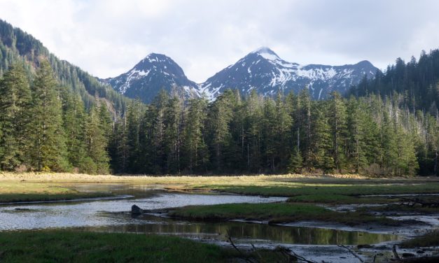 USFS to hold public subsistence hearings in light of proposed Roadless Rule repeal