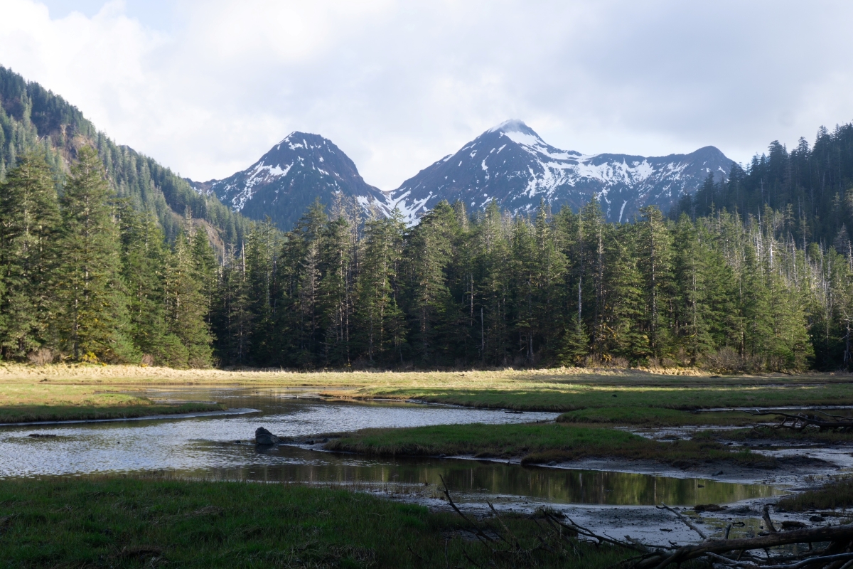 Alaska Subsistence Users Raise Concerns Over Proposed Tongass Roadless Rule Repeal