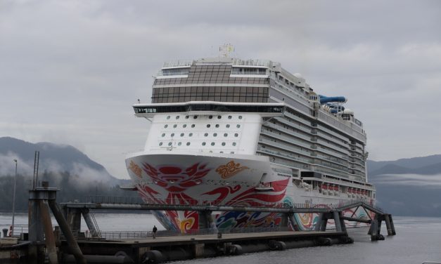 Endangered whale discovered dead on cruise ship bow in Sitka