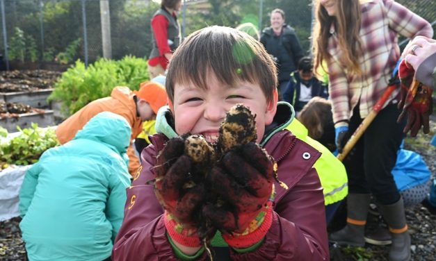 First graders dig up Tlingit potatoes