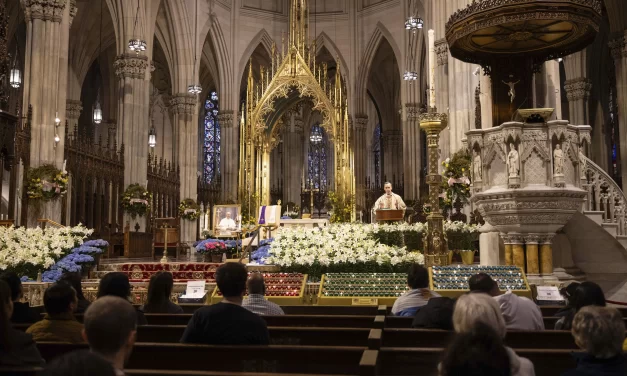 Archdiocese of New York agrees to $800 million settlement over sexual abuse claims