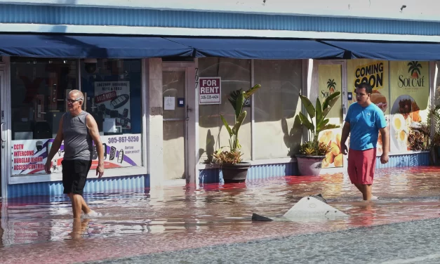 Forecasters are predicting a warmer and wetter winter. Here’s how El Niño will affect your region.