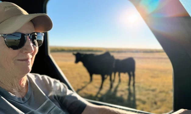 Drought, fire and high diesel prices ‘addin’ up tough’ for Oregon ranchers
